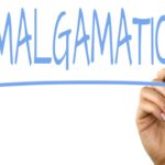 Amalgamation: Definition, Types, How to Use, Pros and Cons