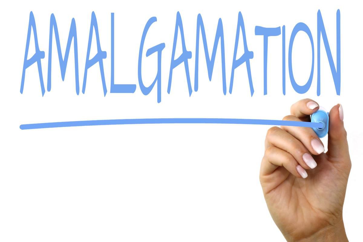Amalgamation: Definition, Types, How to Use, Pros and Cons