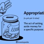 What Is an Appropriation in Business and Government?