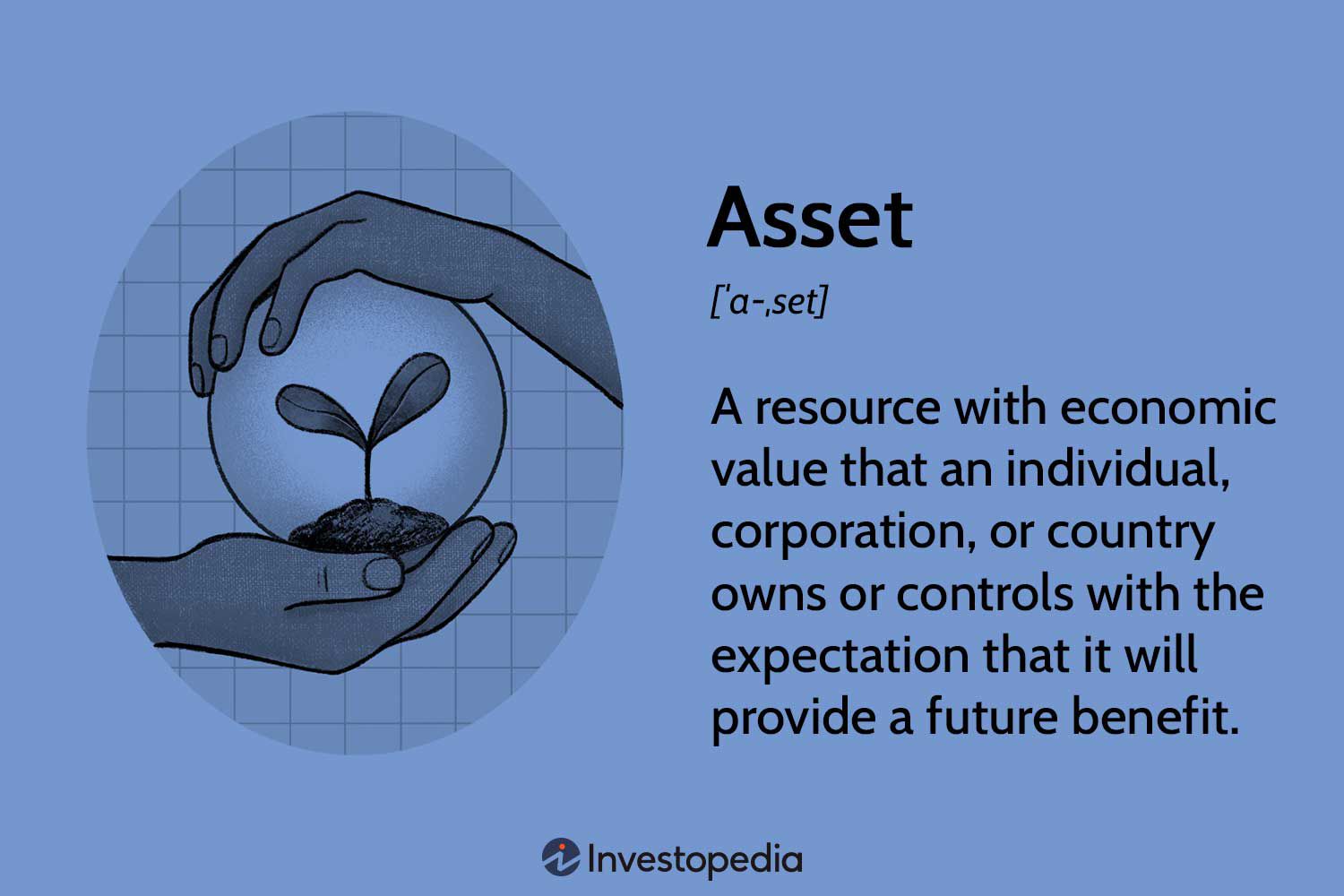 What Is an Asset? Definition, Types, and Examples
