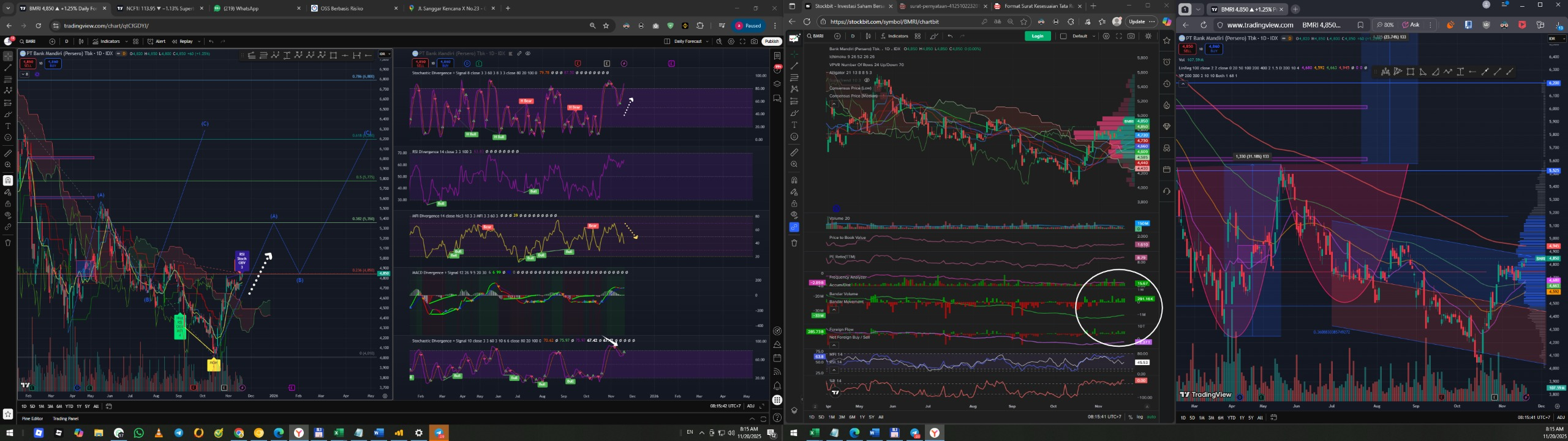Daily Analysis 20251120