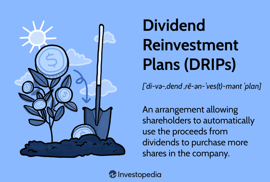 Dividend Reinvestment Plans (DRIPs): Compound Your Earnings
