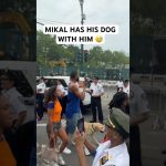 Mikal Bridges has his dog in the Knicks championship parade with him 🐕