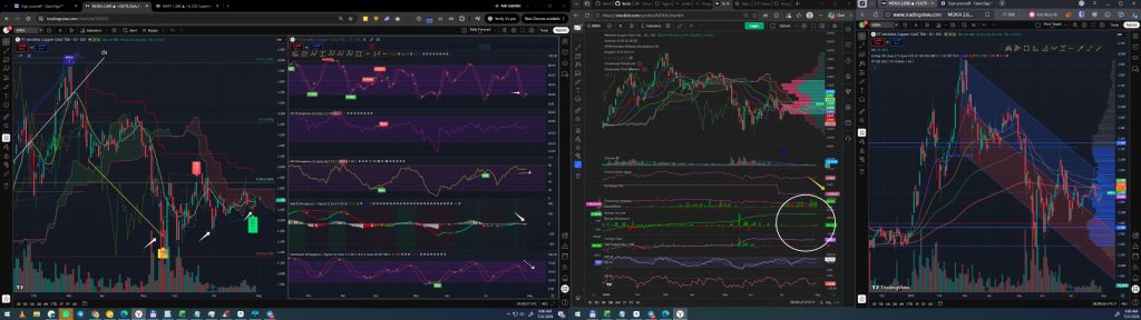Daily Analysis 20260731